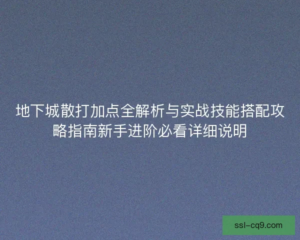 地下城散打加点全解析与实战技能搭配攻略指南新手进阶必看详细说明 地下城散打加点全解析与实战技能搭配攻略指南新手进阶必看详细说明