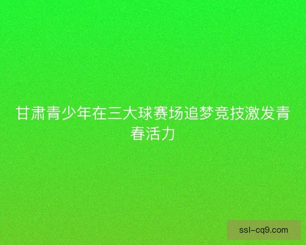 甘肃青少年在三大球赛场追梦竞技激发青春活力